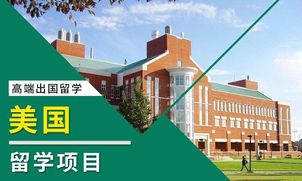 武汉专业办理香港留学中介按实力榜排名