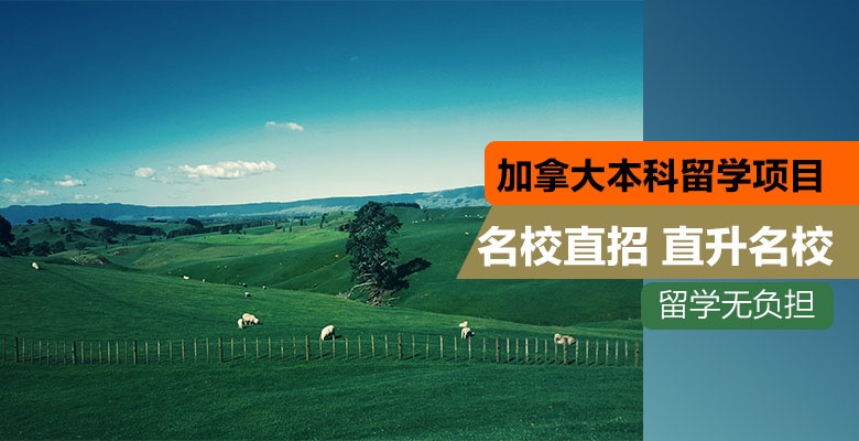 温州学员推荐的英国留学中介机构按更多人选择排名