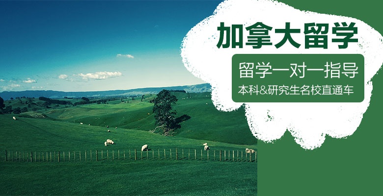绵阳有哪些新西兰本科留学中介机构最值得信赖排名名单